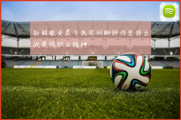 孙铭徽凌晨飞抵深圳脚肿仍坚持出战展现职业精神