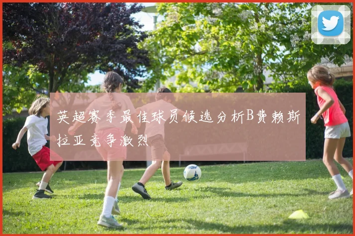 英超赛季最佳球员候选分析B费赖斯拉亚竞争激烈